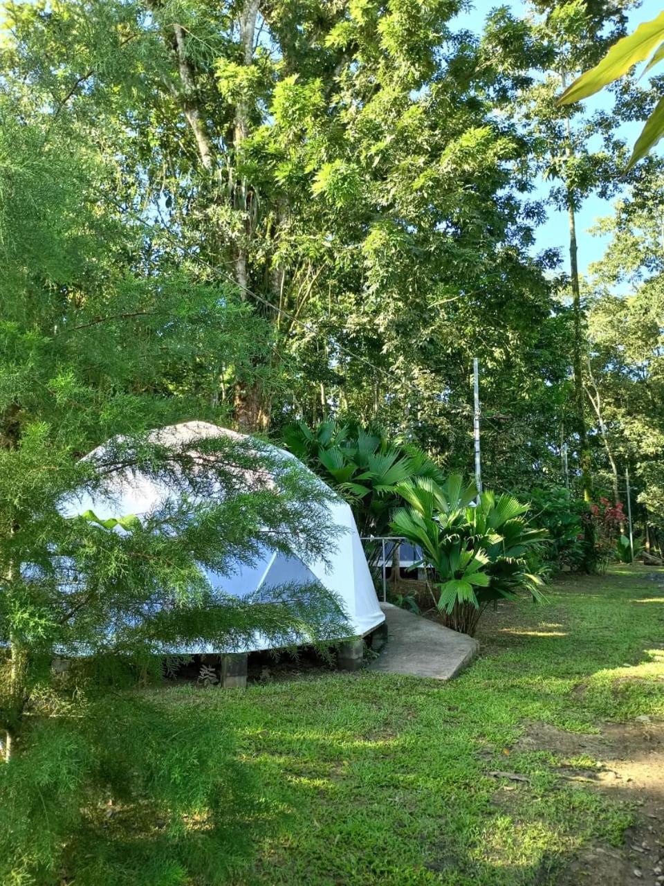 Glamping Naioth Daire Guápiles Dış mekan fotoğraf