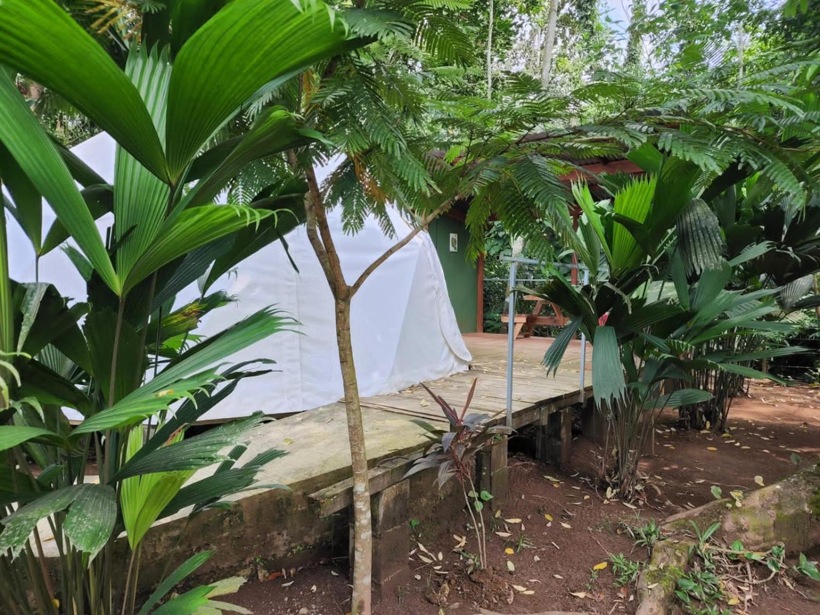 Glamping Naioth Daire Guápiles Dış mekan fotoğraf