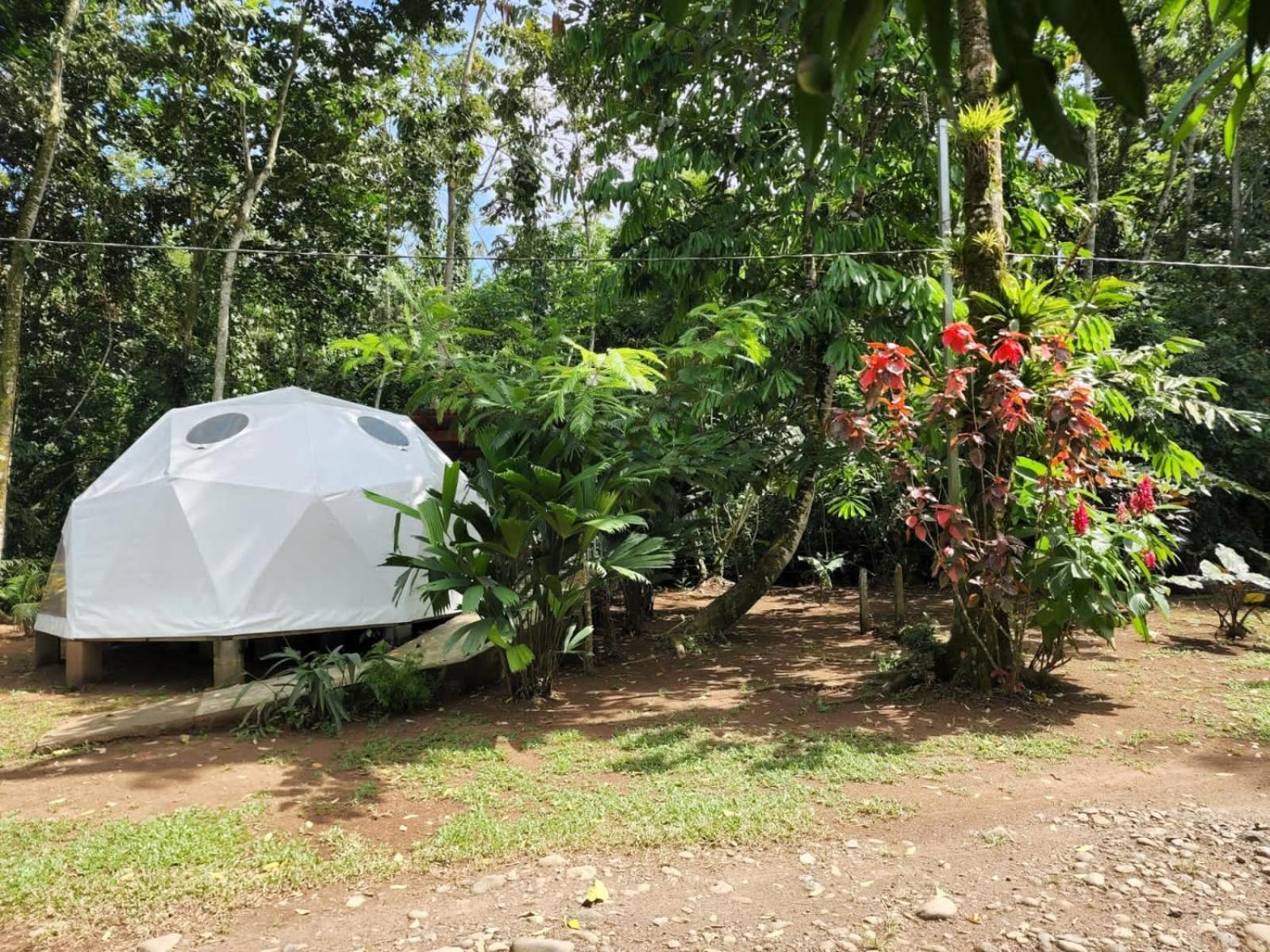 Glamping Naioth Daire Guápiles Dış mekan fotoğraf
