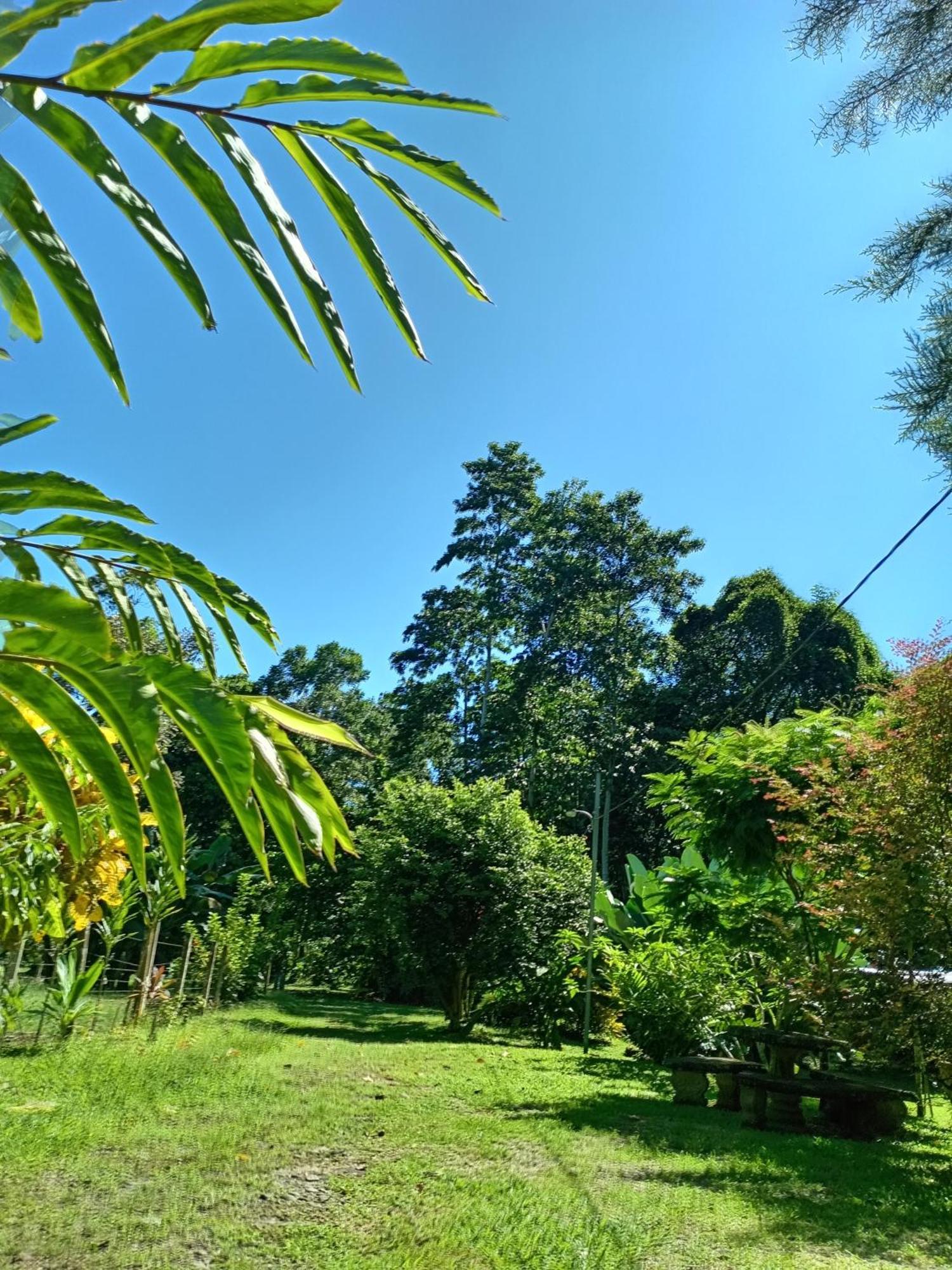 Glamping Naioth Daire Guápiles Oda fotoğraf