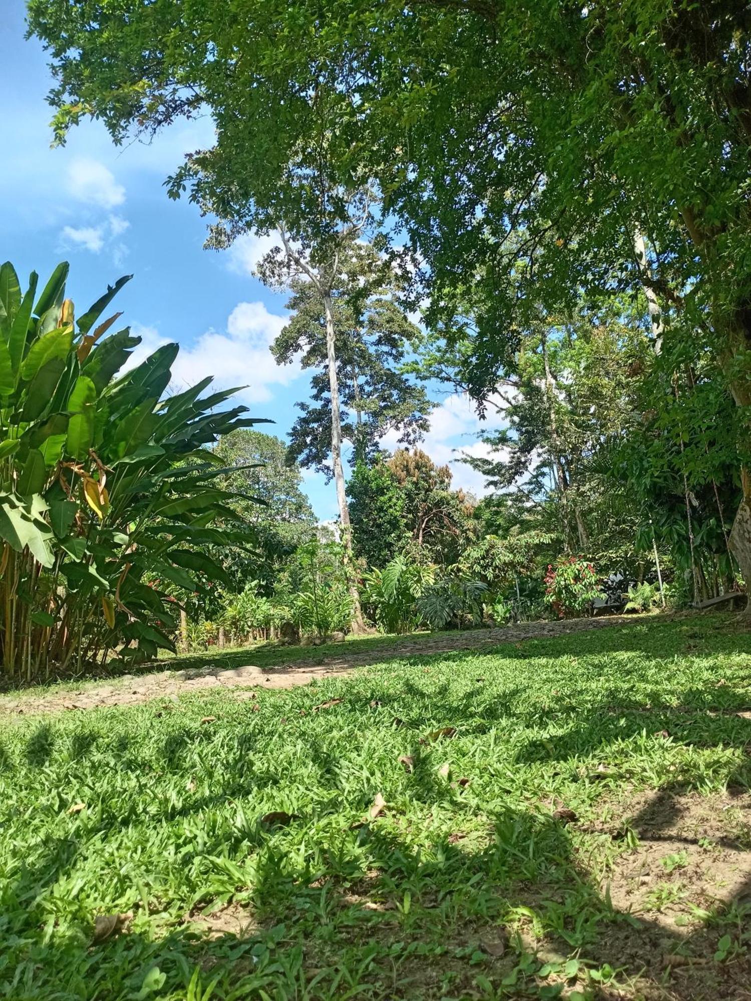 Glamping Naioth Daire Guápiles Oda fotoğraf